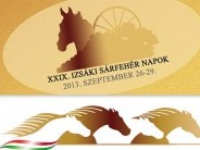 Izsáki Sárfehér Napok - VIII. Négyesfogathajtó Európa-bajnokság