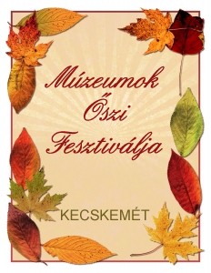 A fesztivált 2006-ban indították, azzal a céllal, hogy felhívják a figyelmet a múzeumokra, mint az oktatás fontos helyszíneire, illetve hogy a több százezres Múzeumok Éjszakájához hasonlóan hagyományt teremtsen.
  - Múzeumok Őszi Fesztiválja